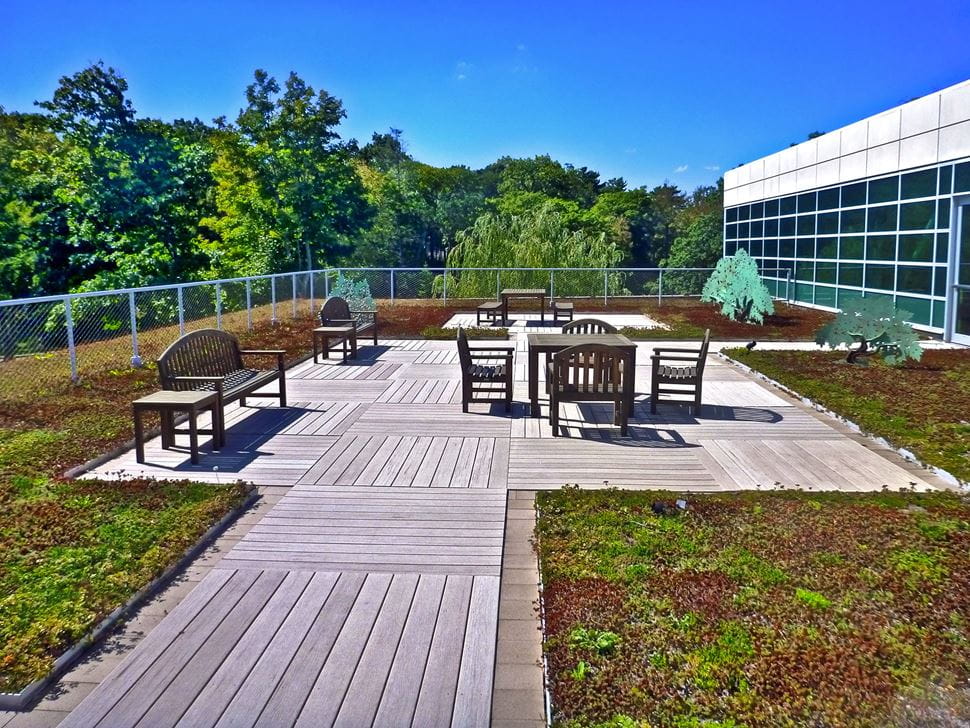 The green roof located at the Walter J. Manninen Center for the Arts