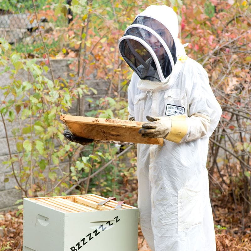 Student harvesting local bee hive with Best Bees Company 