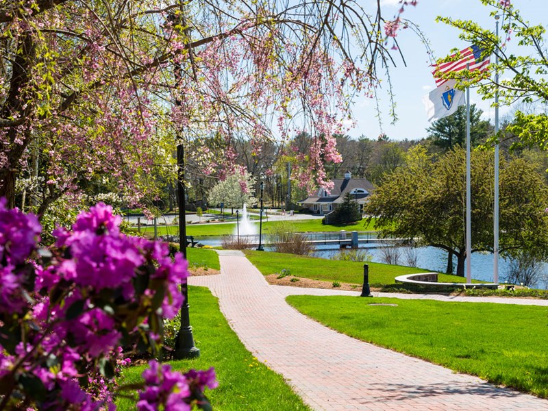Gull Parent & Family Resource Page | Endicott College