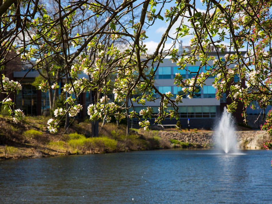 View of a fountain on the Endicott College campus