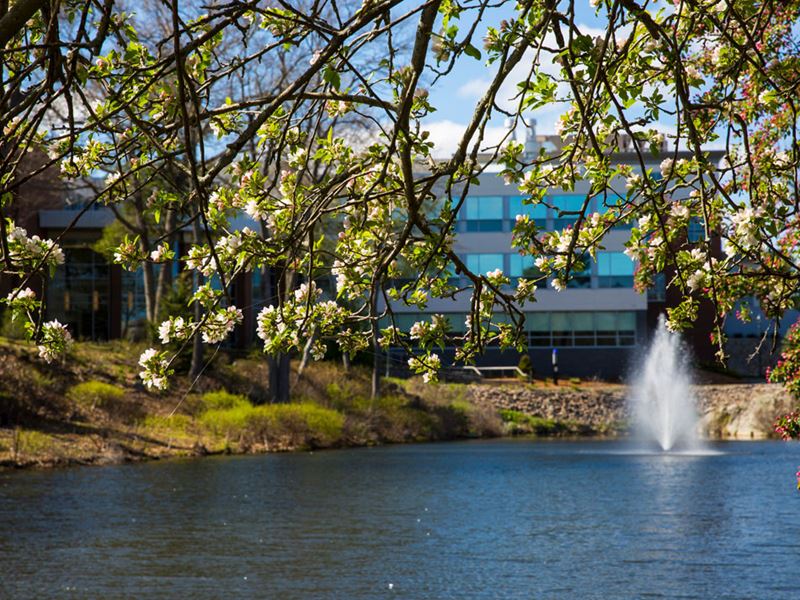 View of a fountain on the Endicott College campus