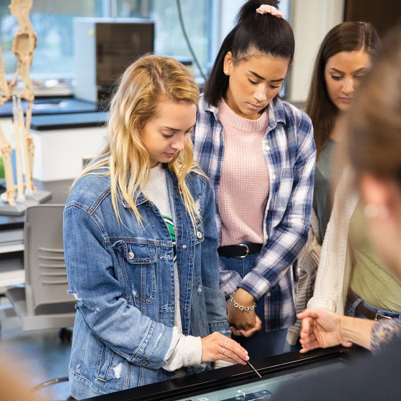 Endicott College students in lab
