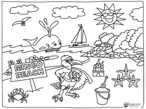 Alumni News And Events Endicott College