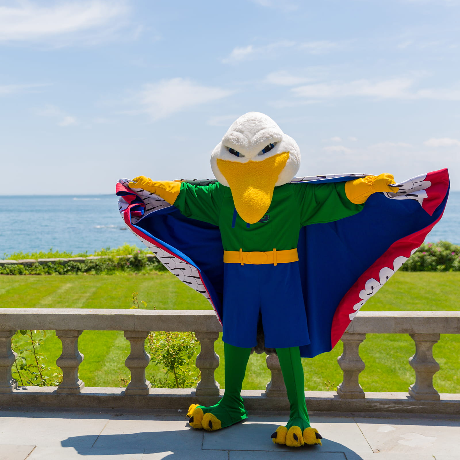 endicott gull mascot standing with wings extended with ocean in bakcground