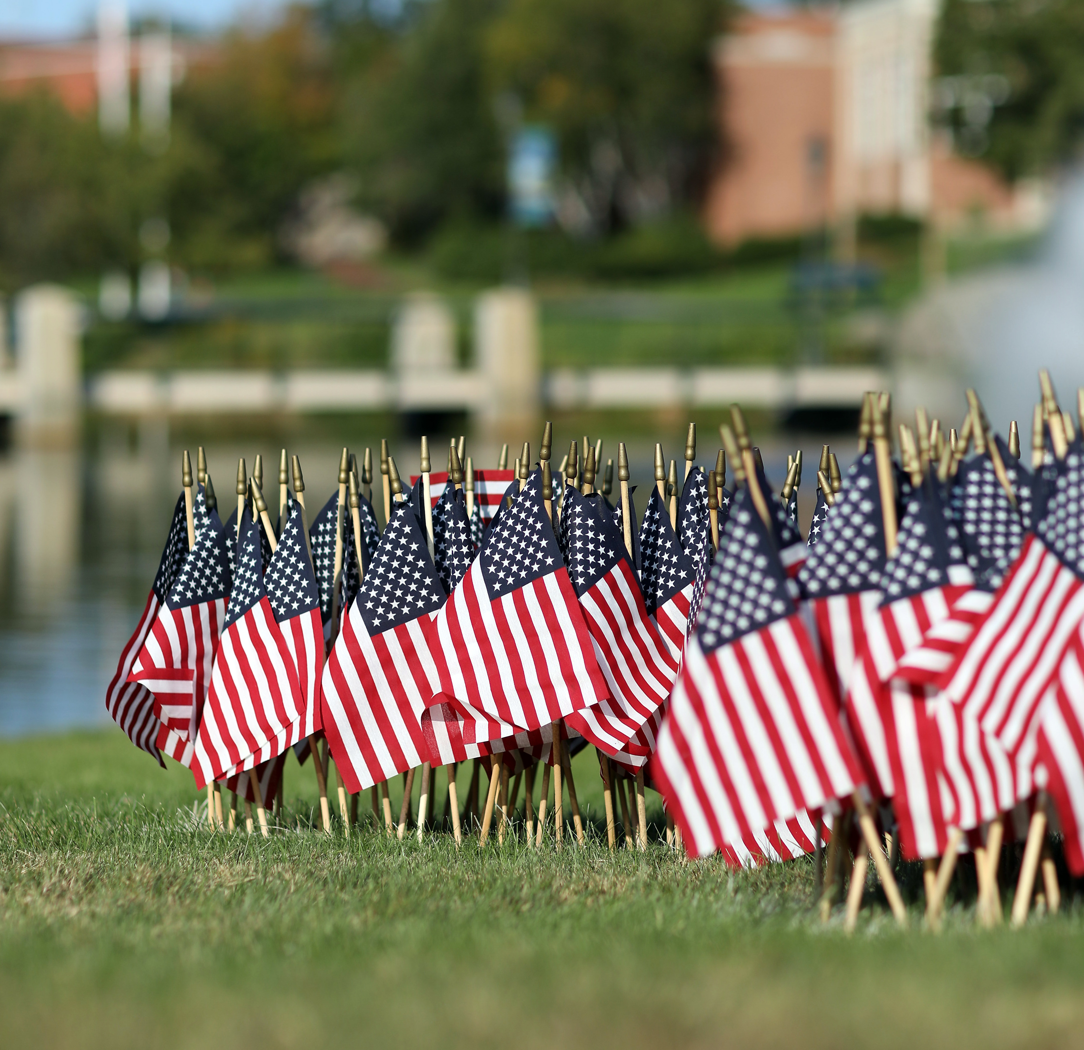 many small US flags standing in the grass