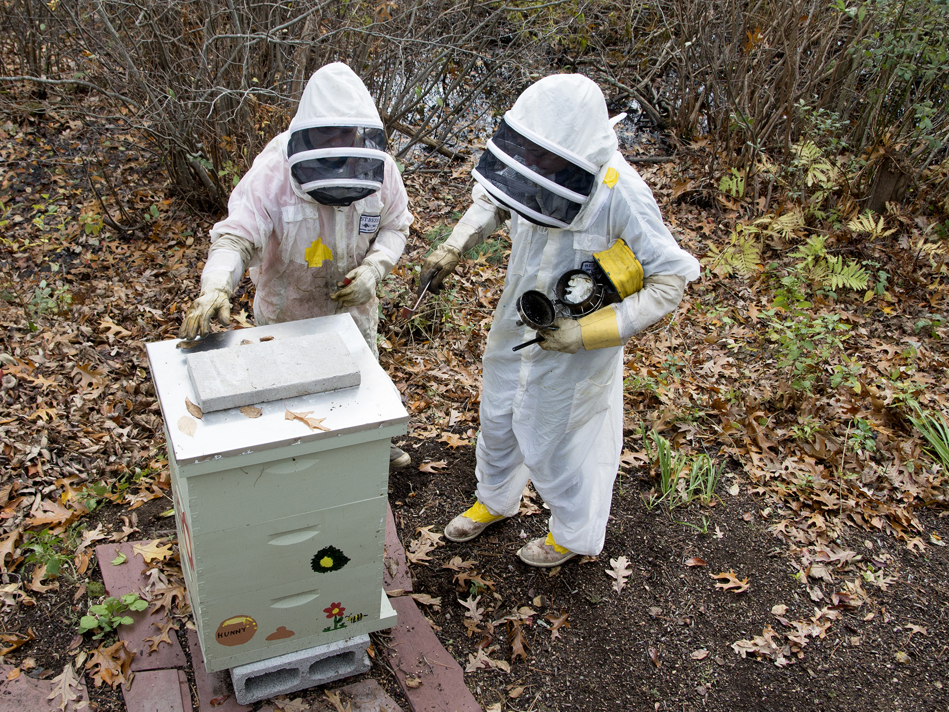 Student and supervisor harvest local bee hive 