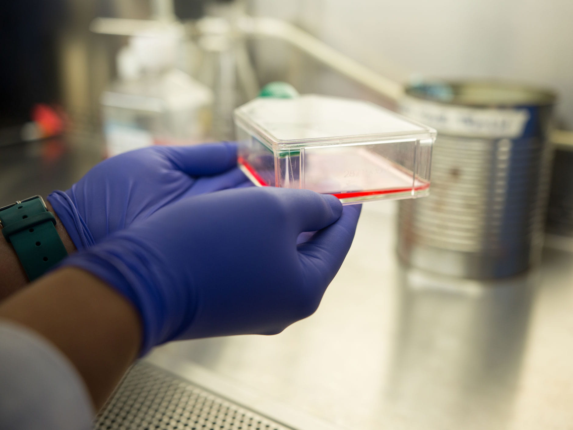 image of gloved hands holding a sample in a life science lab