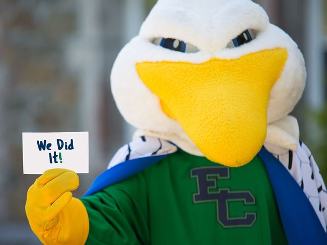 Gull mascot holding index card that reads "We Did It!"