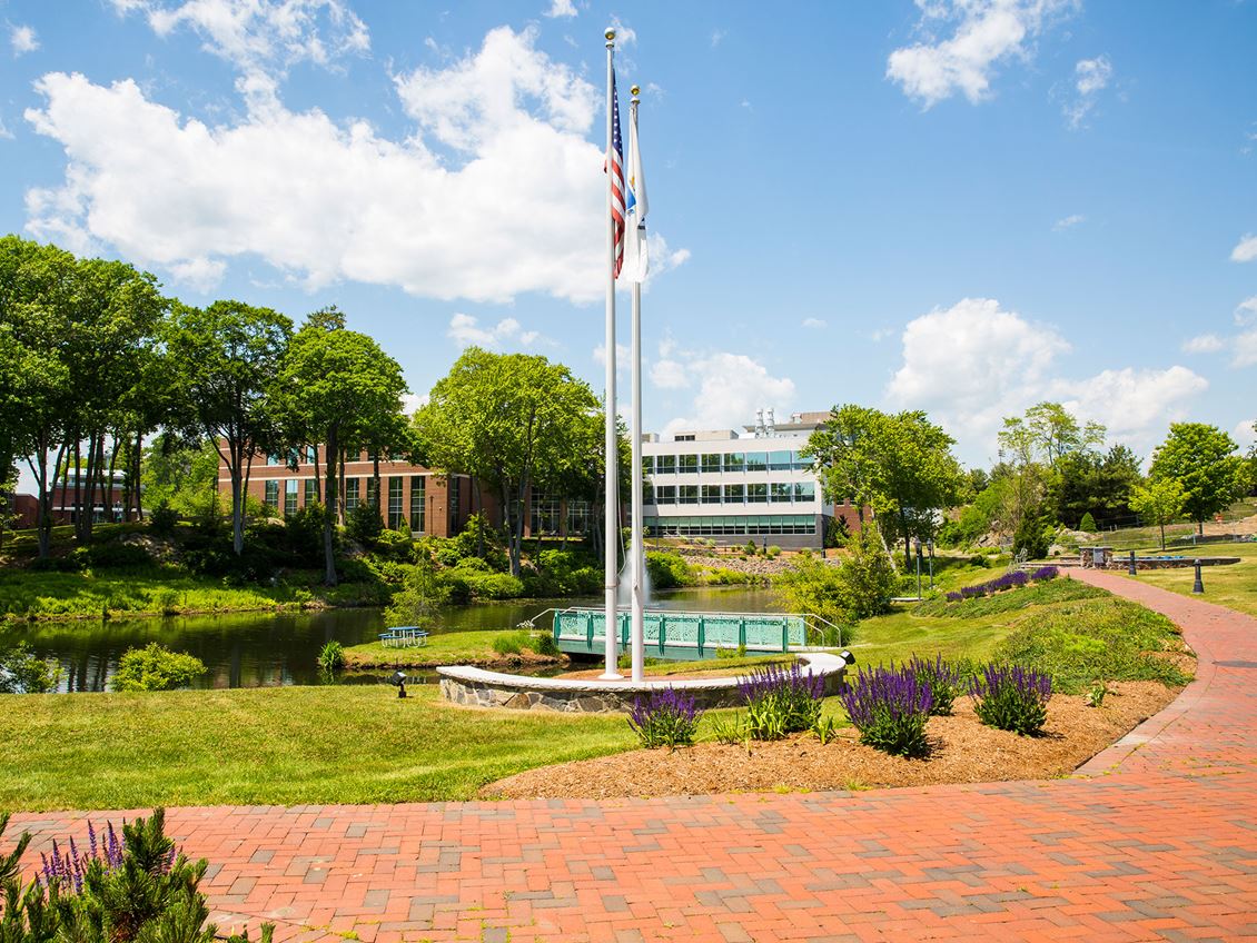 Endicott American Flag