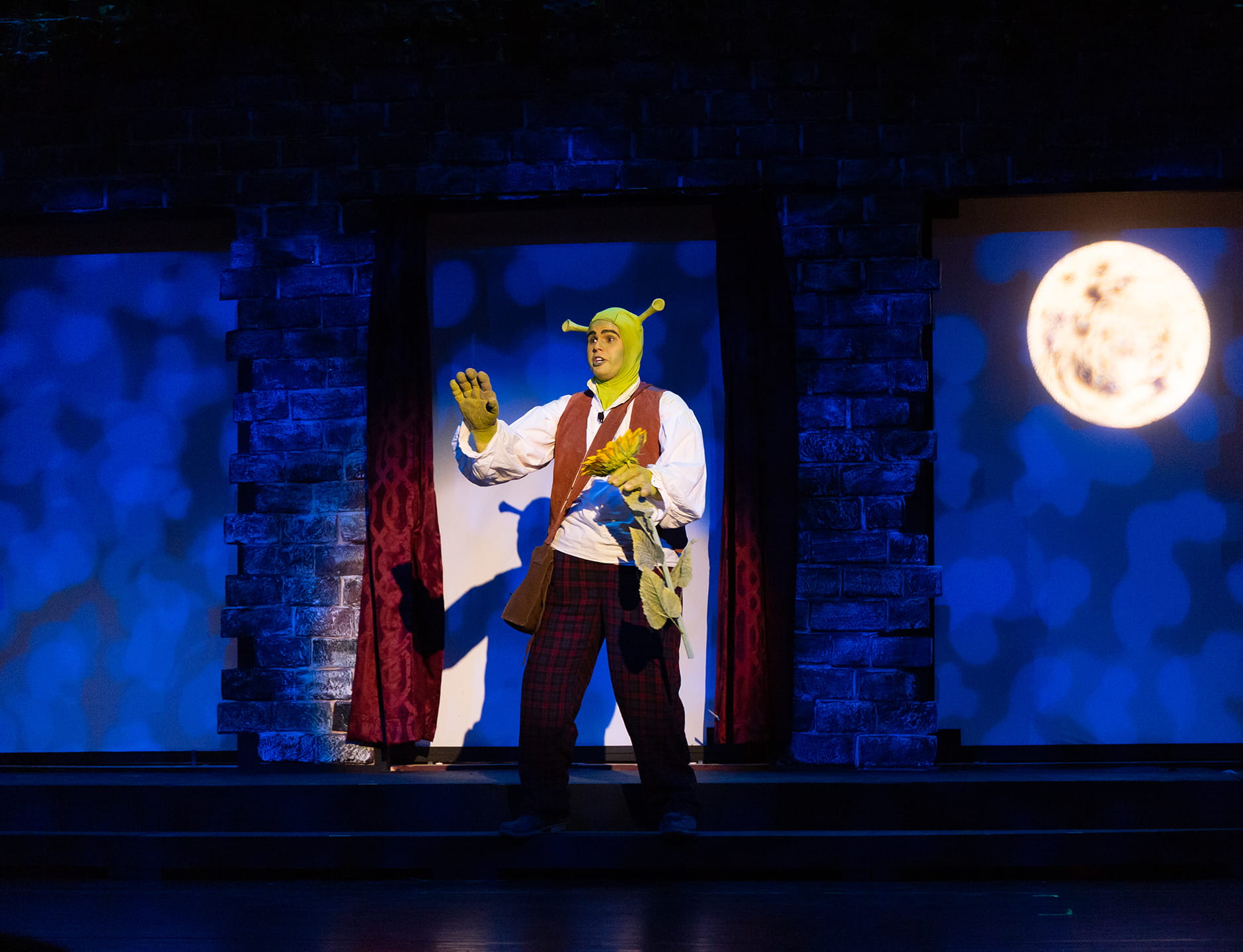 Shrek! The Musical 