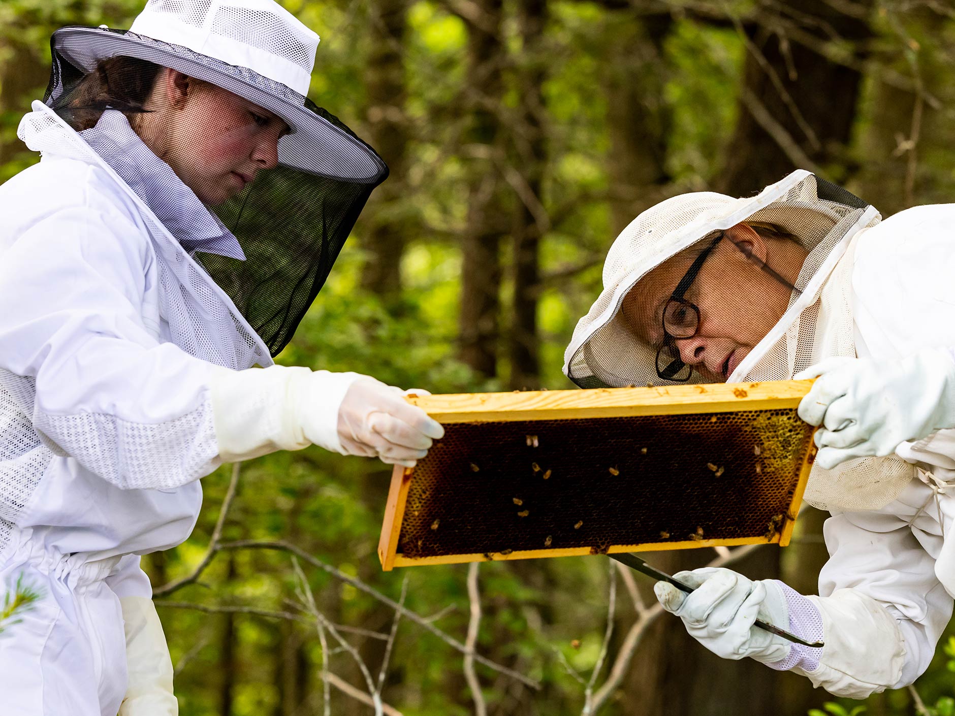 Olivia Mersicano '22 and Dean Mark Towner with beehives