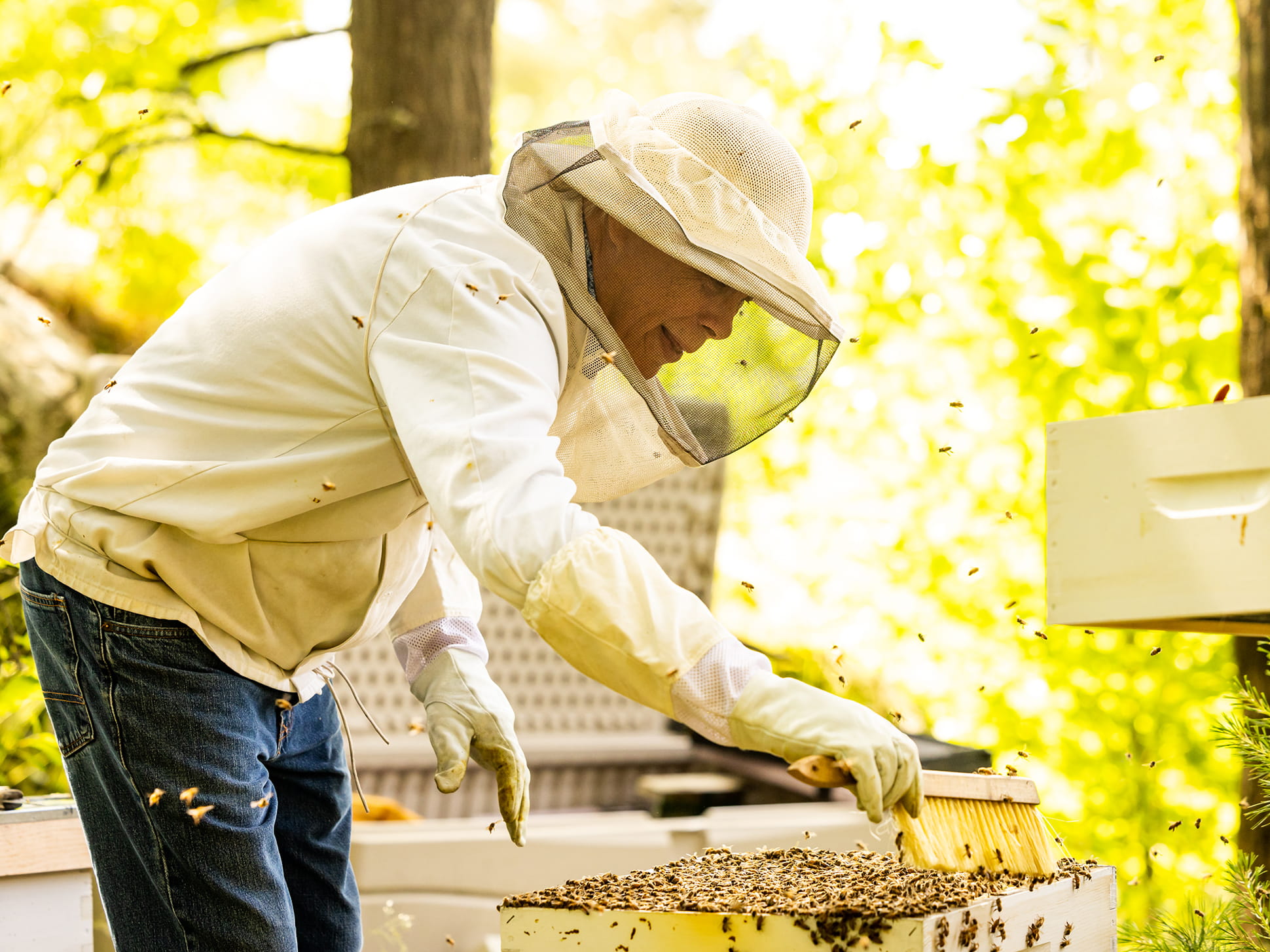 Endicott Beekeeping