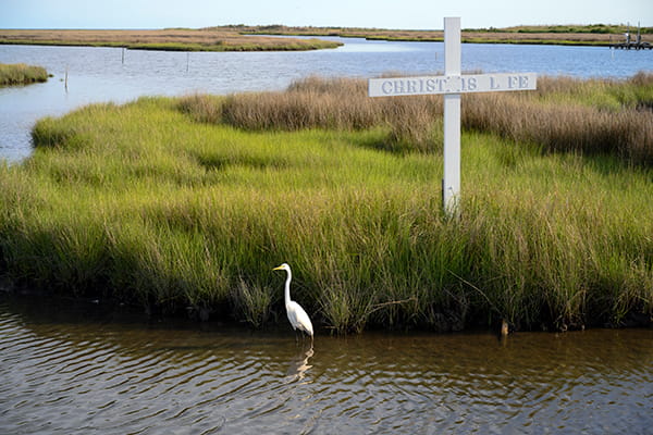 A crane on Chesapeake Bay