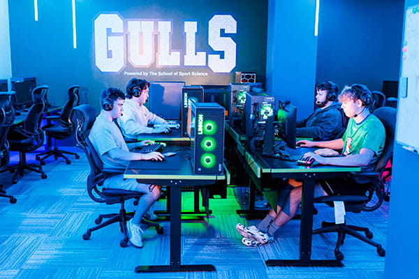 Endicott College is pleased to announce it will be hosting the Massachusetts School Administrators Association (MSAA) Fall Esports State Championships on Saturday, December 13, in the Endicott Esports Lab.