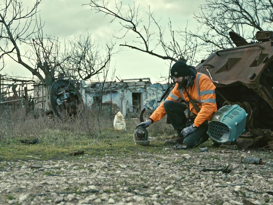 A man coaxes an abandoned cat out from under a burned-out tank to eat