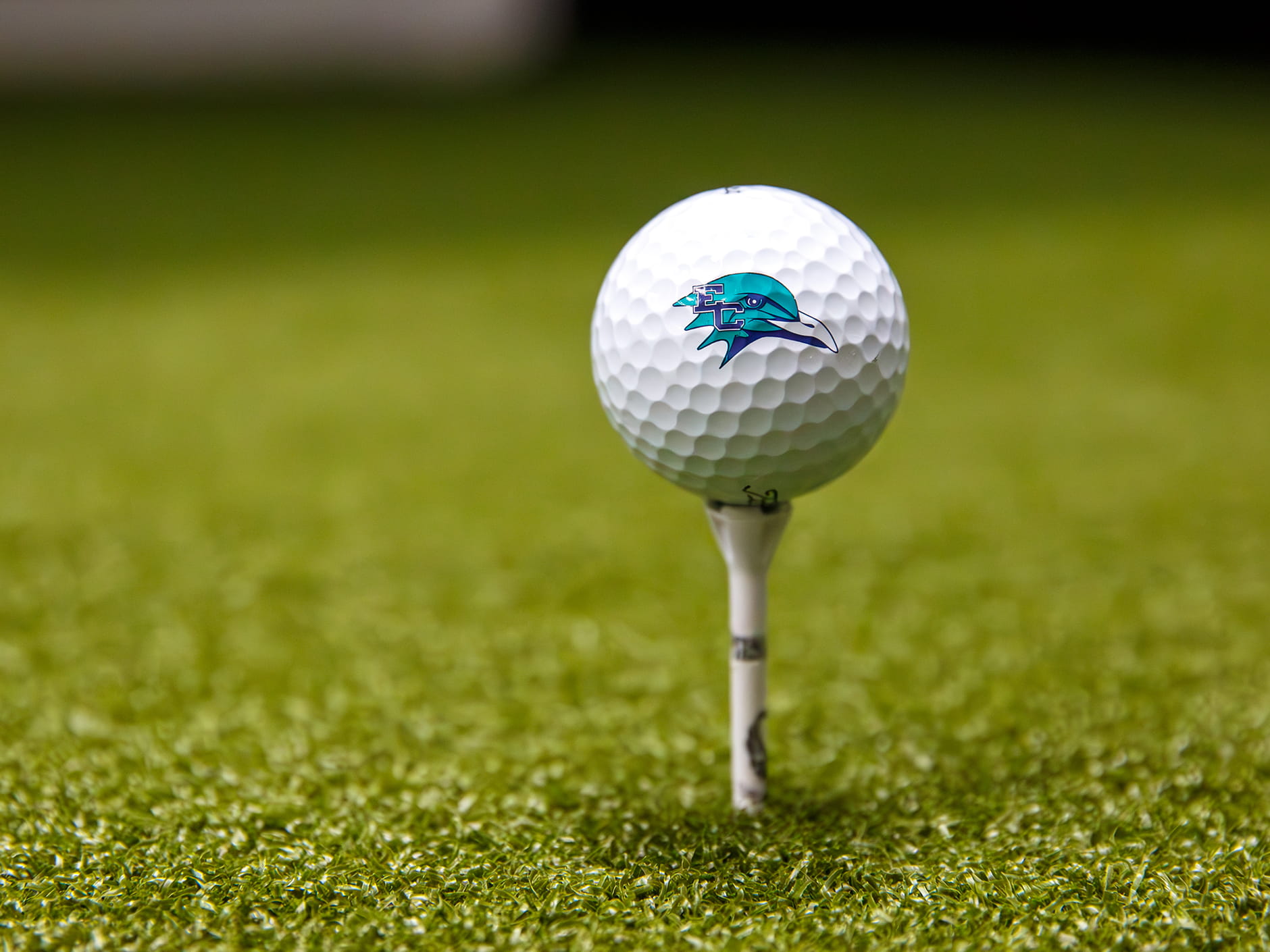 A Gulls branded golfball
