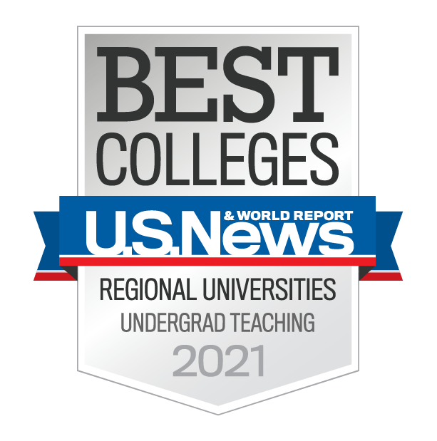 Endicott College best school for undergrad teaching