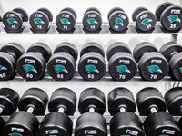 Strength and conditioning weights