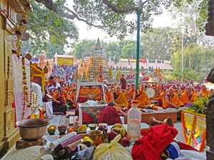 Everything Under the Bodhi Tree