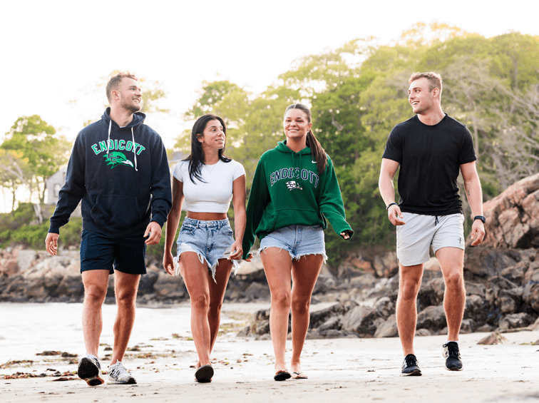 Group of students walking on the beach