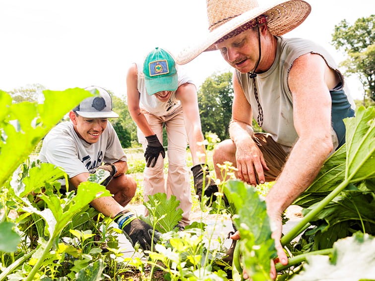 Ramblin Roots internship