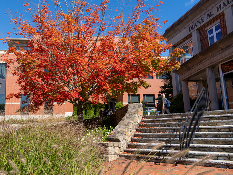 In Memoriam/In Honor Endicott College
