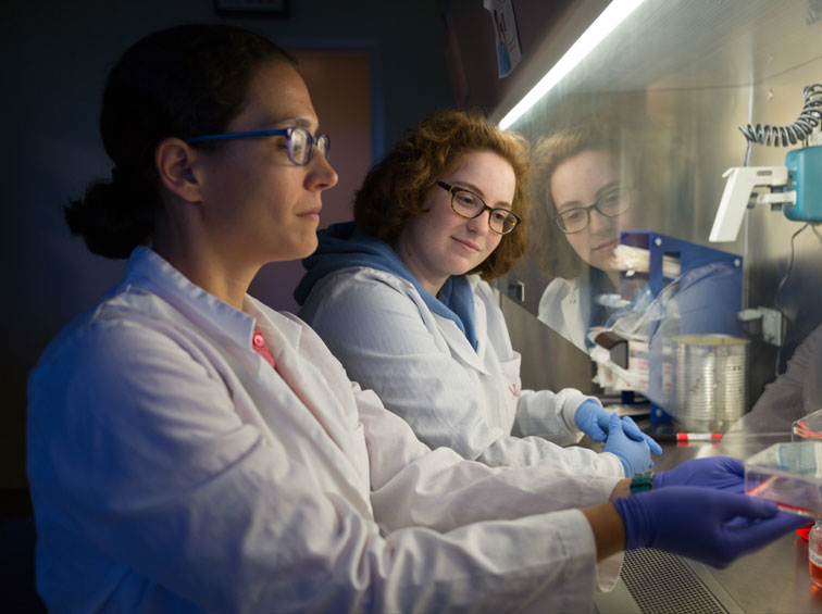 Pre-Medical/Pre-Health Professional Program | Endicott College