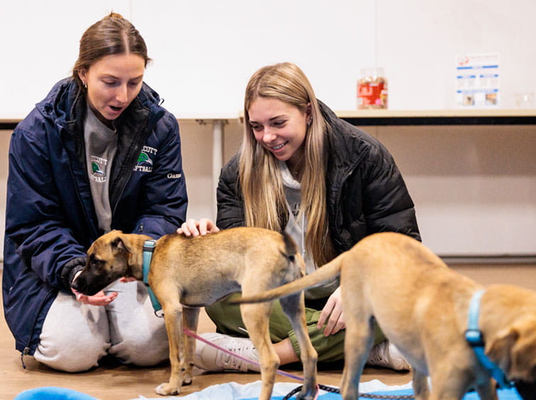 Students with puppies