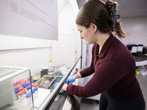 A female student with her hair in a claw clip working with samples inside a laboratory biosafety hood.