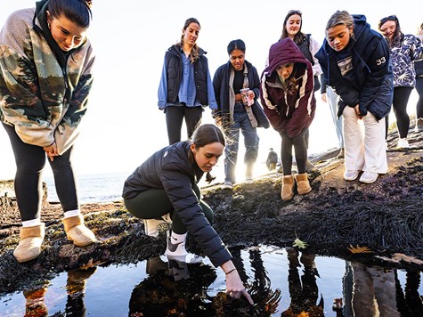 A group of students gathered outdoors around a tide pool while one points into the water.
